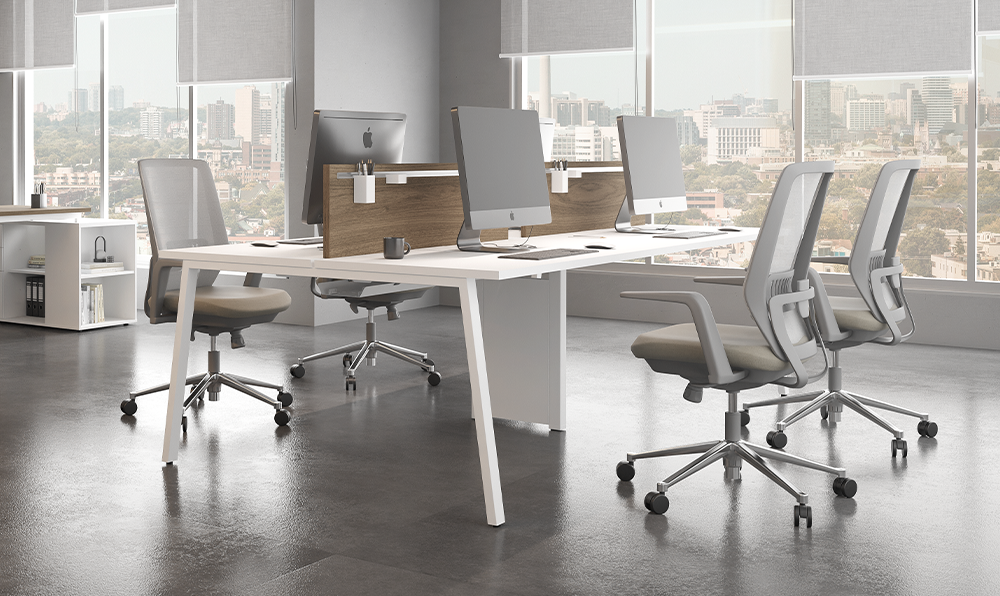 Prima Arq