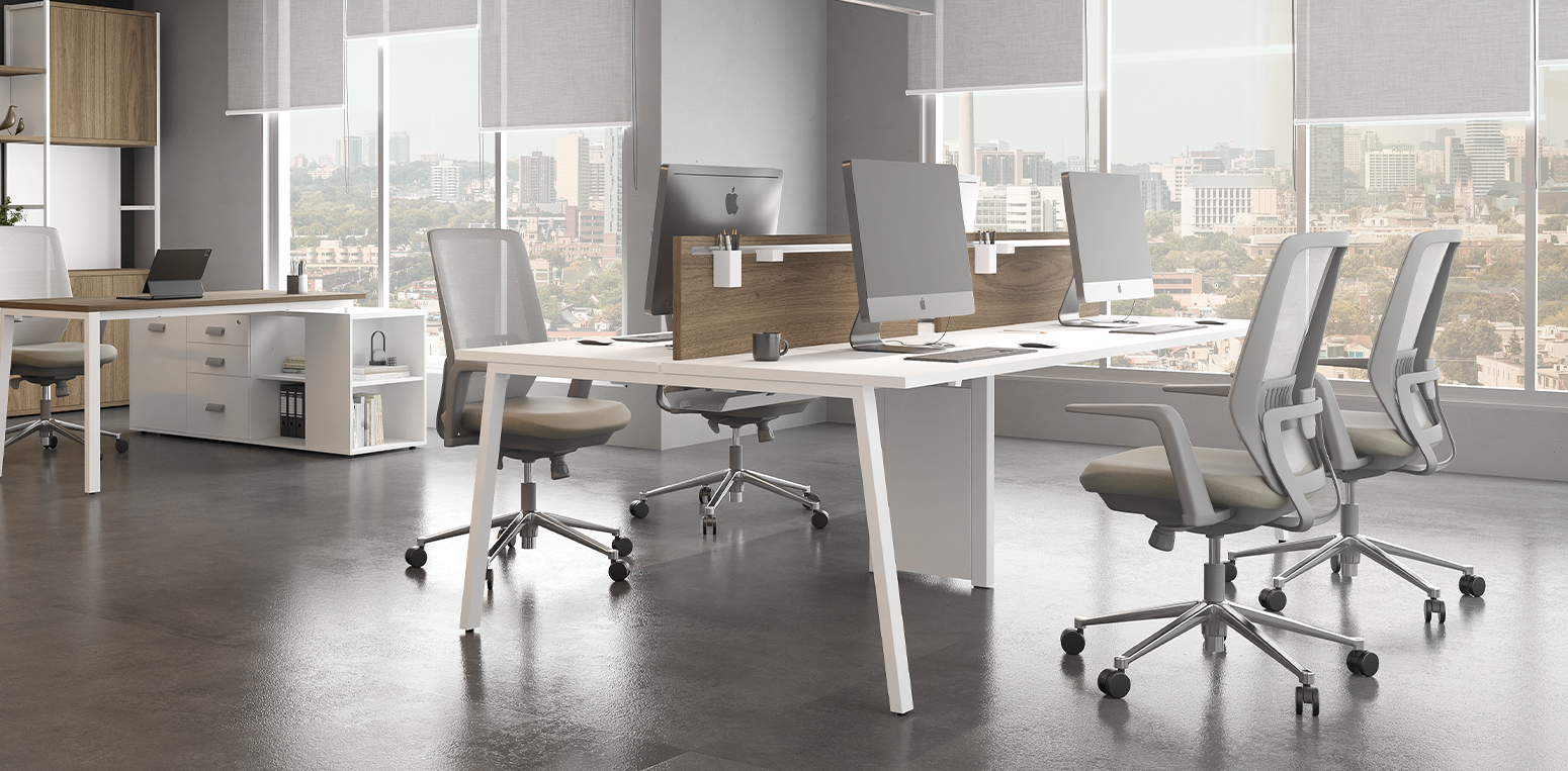 Prima Arq